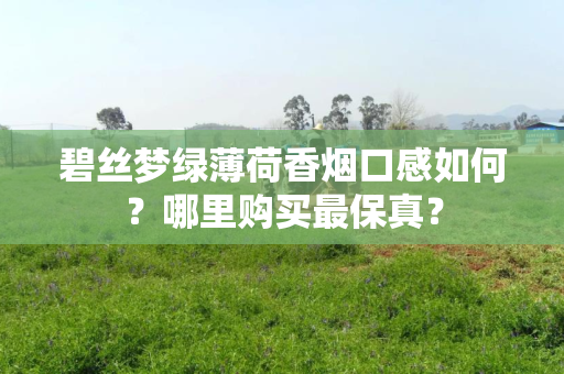 碧丝梦绿薄荷香烟口感如何？哪里购买最保真？